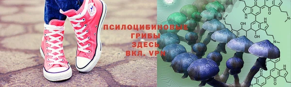 кокаин колумбия Алзамай
